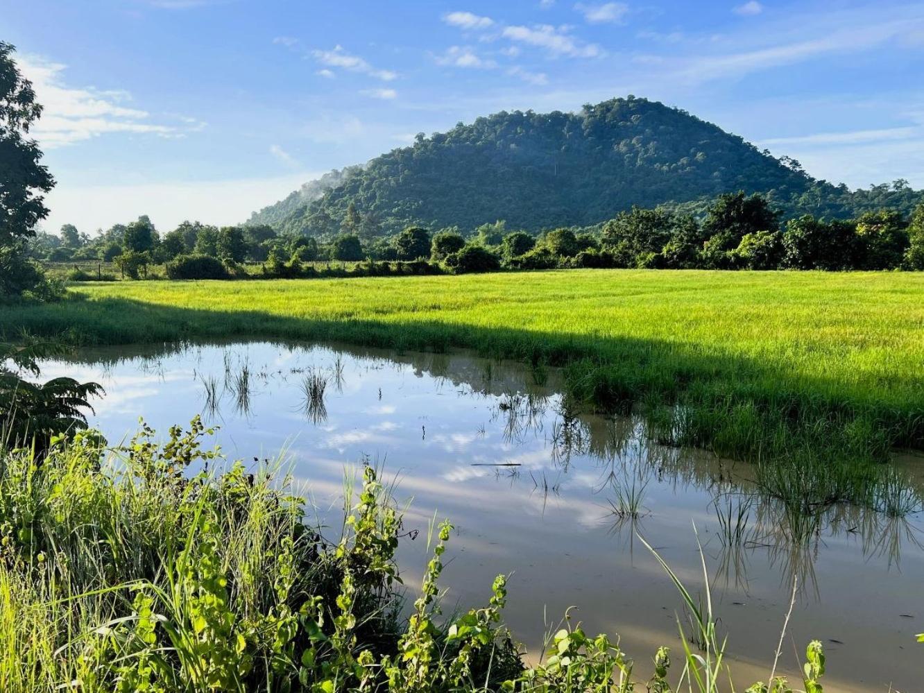 The Little Vegan Homestay Phumi Banteay Srei Zewnętrze zdjęcie